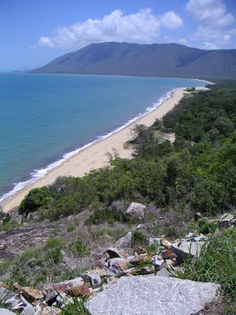 daintree01