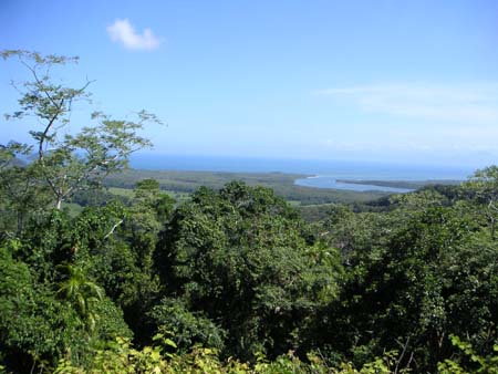 daintree10