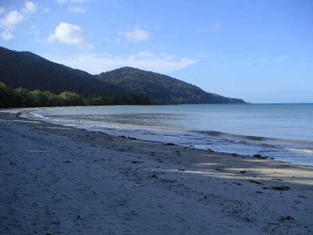 daintree22