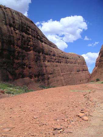 olgas04