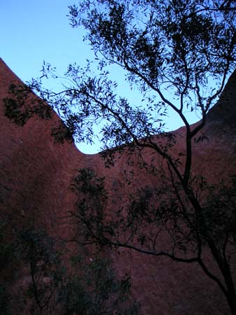 uluru29