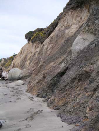 moeraki04