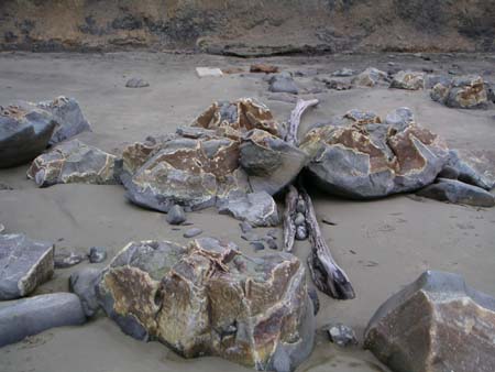 moeraki07