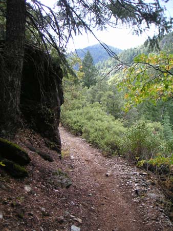 downieville13