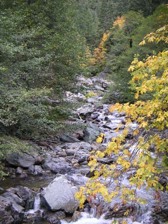 downieville17