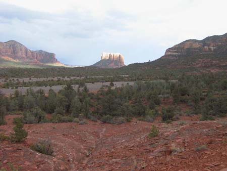 moab with trees